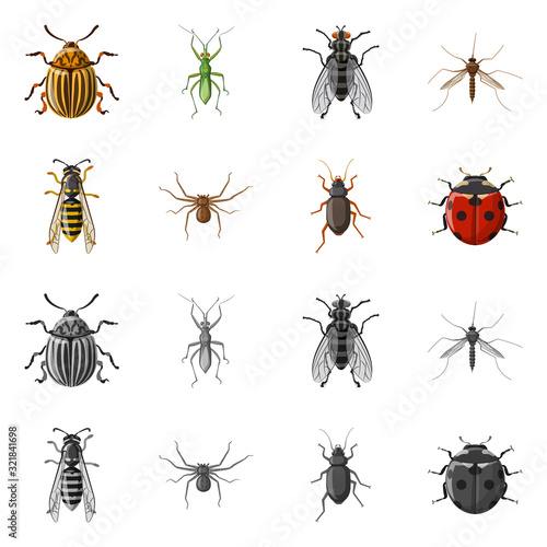 Vector illustration of insect and fly sign. Set of insect and element stock vector illustration.