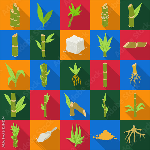 Sugar cane flat vector illustration on white background.Sugarcane set icon.Vector illustration of sweet white sugar.flat cane leaf.Set icon of sugarcane plantation.