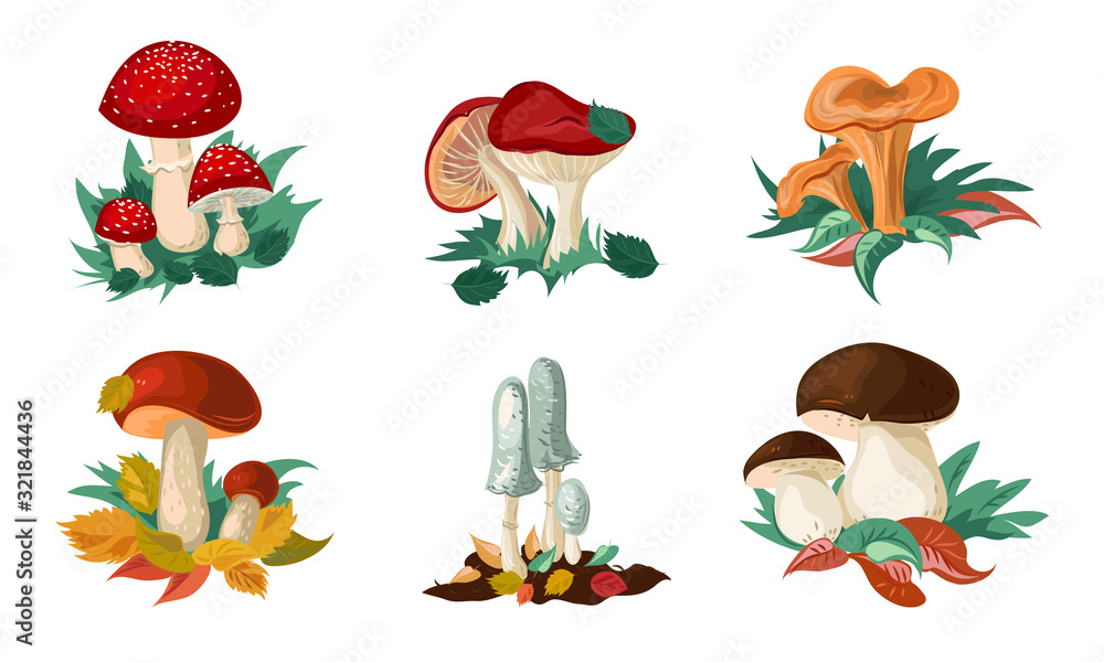 Naklejka premium Zestaw kolorowych grzybów i muchomorów. Ilustracja wektorowa w stylu cartoon płaski.