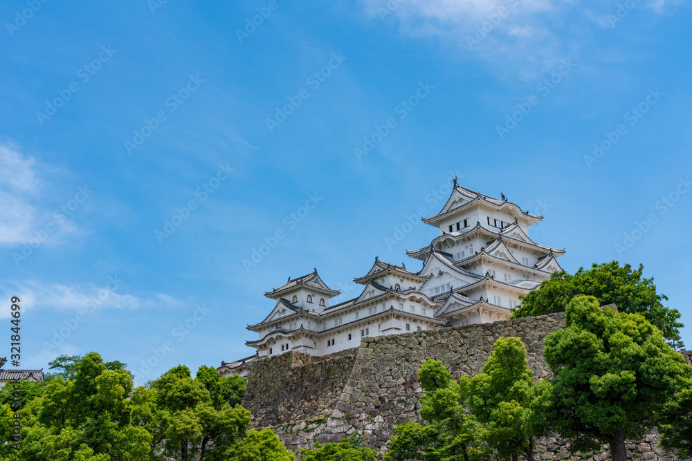 Fototapeta premium 姫路城