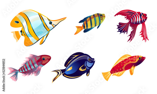Set of various colorful coral reef fish. Vector illustration in the flat cartoon style