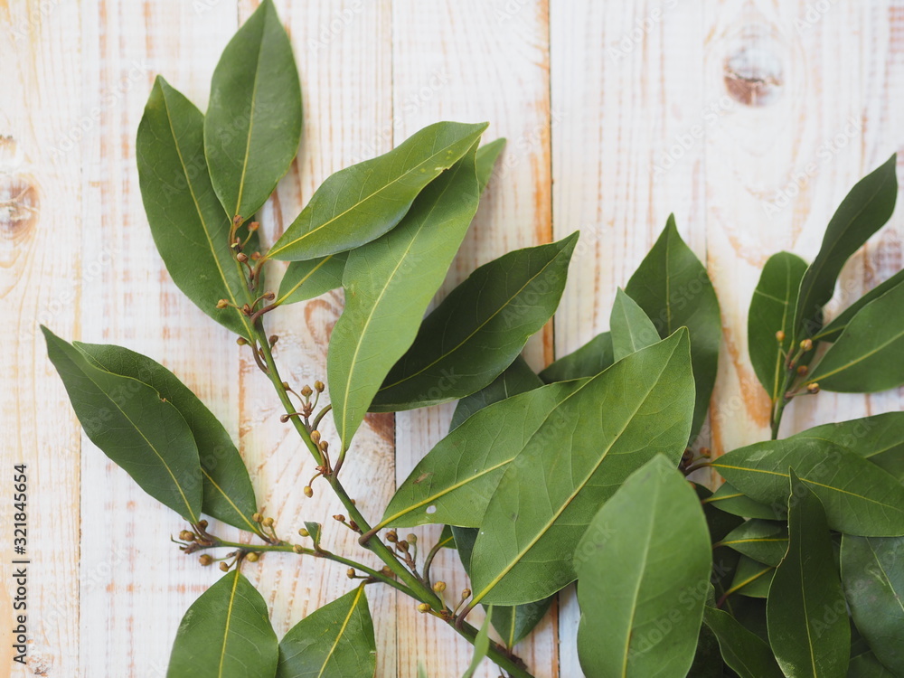 Fototapeta premium Branch of dried bay leaf. Use in medicine and in the food industry. Organic food.