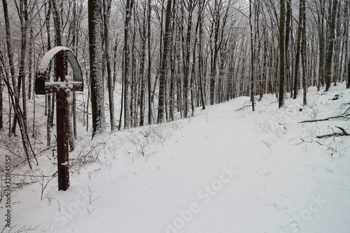 Photography Crucifix in forest near Kacin, Bratislava, Slovakia