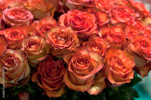 Large bouquet of orange roses  roses at a flower show  close up photo