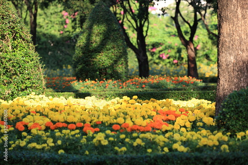 Fototapeta Naklejka Na Ścianę i Meble -  summer background with flower garden