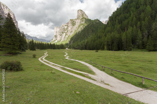 A single mountain path splits in two different directions.