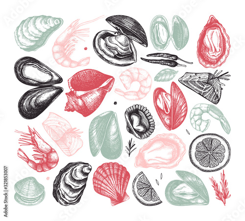 Vector seafood collection. Hand drawn fish, shellfish, shrimps, mollusks sketches with herbs, spices and lemon set. Cooked fish, shrimps, clams, oysters, cockles, mussels top view sketches.