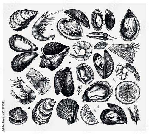 Vector seafood collection. Hand drawn fish, shellfish, shrimps, mollusks sketches with herbs, spices and lemon set. Cooked fish, shrimps, clams, oysters, cockles, mussels top view sketches.