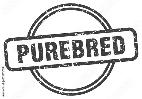 purebred stamp. purebred round vintage grunge sign. purebred