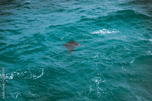 Wallpaper Mural Lembongan Island with views of the ocean and its various places. Travel to the paradise tropics. Waves, cacti and surf. Bali island, Indonesia. Torontodigital.ca