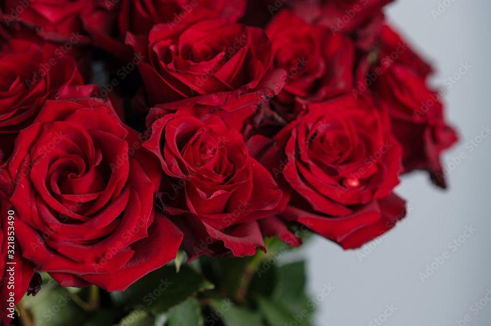 girl holding a huge bouquet of red roses in her hands
