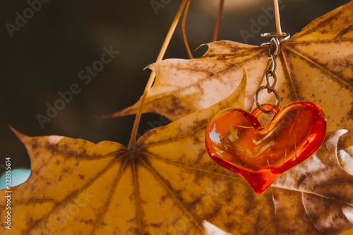 Red heart against yellow maple leaves.