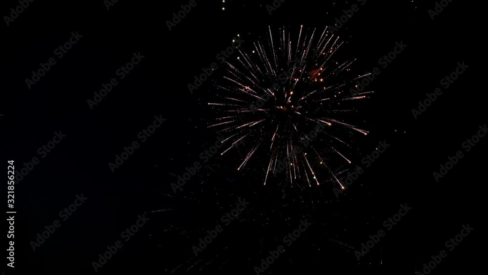 Festive fireworks in the dark sky Festive fireworks in the dark sky