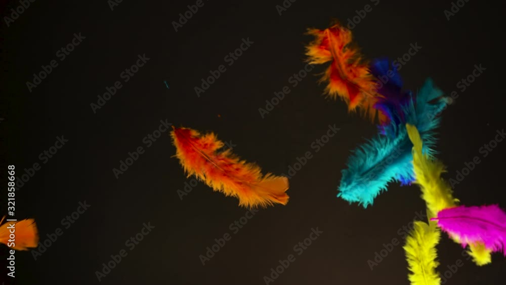 Slow motion abstract of colourful feathers floating in different directions. Slow motion abstract of colourful feathers floating in different directions.