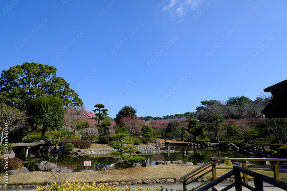 心が落ち着く春の日本庭園