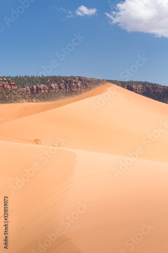 Sand dunes in a desert landscape, Coral Pink Sand Dunes, Utah