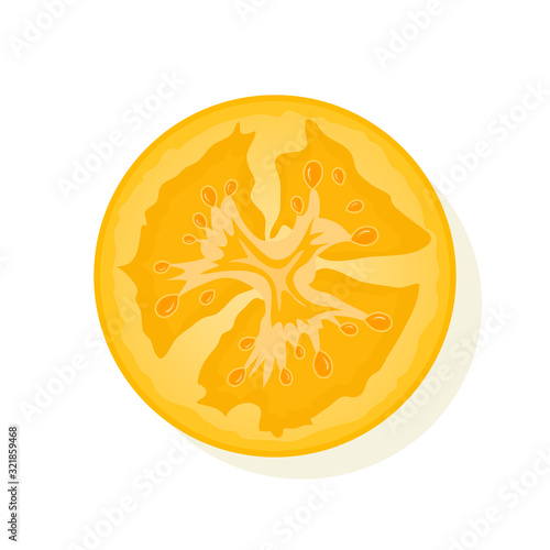 Slice of yellow tomato isolated on white. Juicy ripe tomato. Vector Illustration.