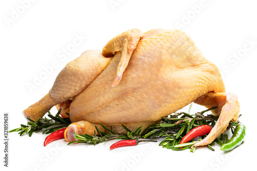 Raw whole corn fed poussin with rosematy leaves and chili isolated on white photo