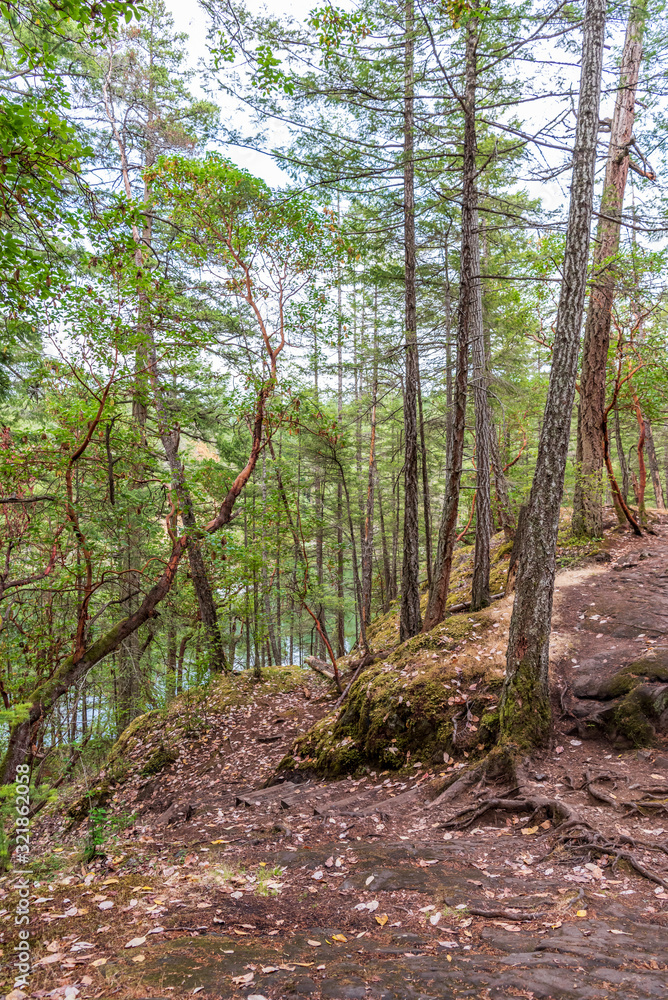Fototapeta premium Mountain Trail in British Columbia, Canada. Rocky Background.
