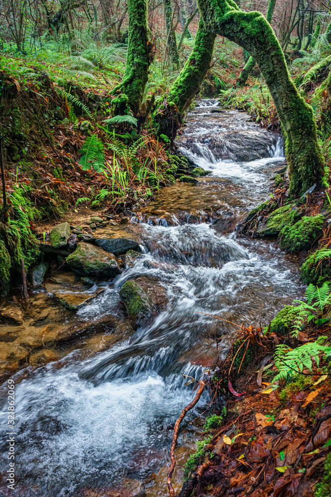 Obraz premium BRIDGE