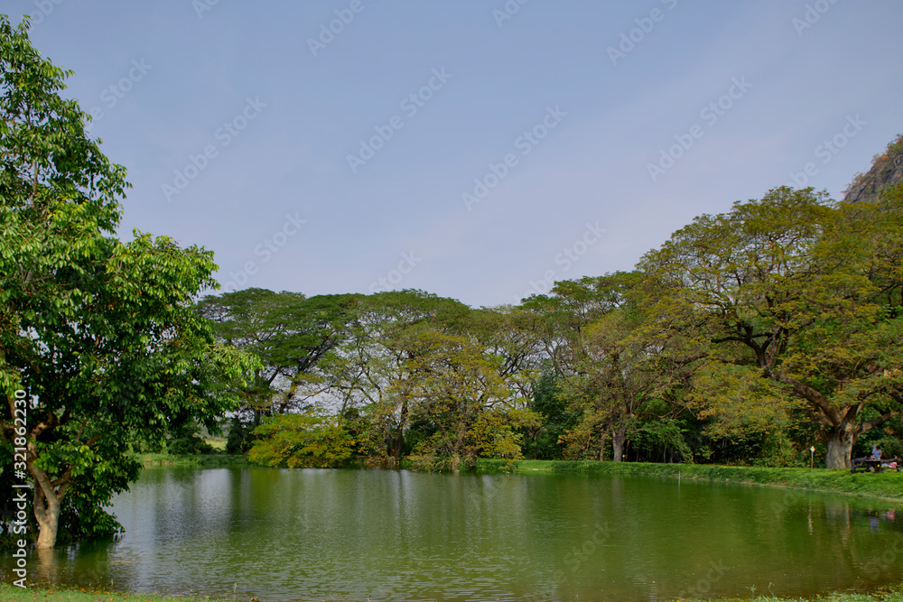 Fototapeta premium Natural Park Pond landscape background