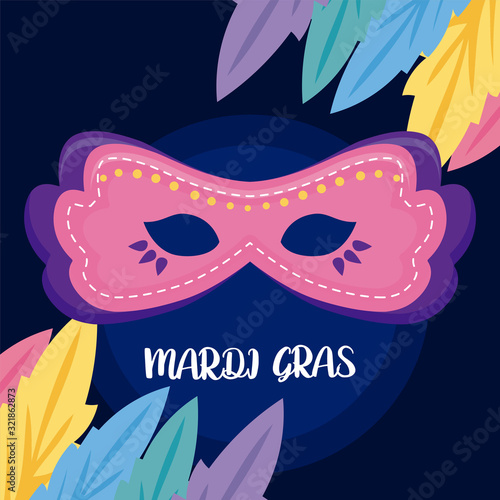 Mardi gras mask with feathers vector design