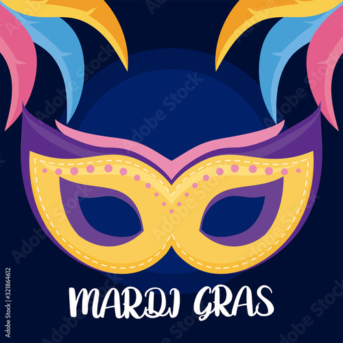 Mardi gras mask with feathers vector design
