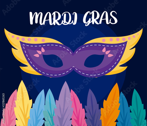 Mardi gras mask with feathers vector design