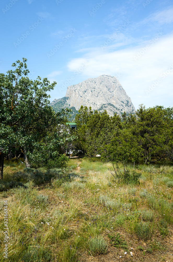Alley and vegetation in the New World Botanical Reserve, Crimea