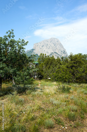 Obraz na płótnie Alley and vegetation in the New World Botanical Reserve, Crimea w salonie
