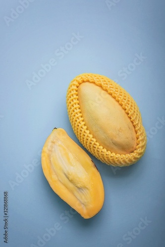 Ripe mango fruit on a blue background. Vertical shot. Copy space