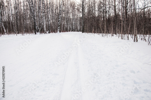 wintry landscape scenery with modified cross country skiing way © vadim yerofeyev