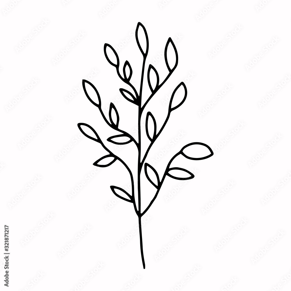 Branch with leaves drawing a line.Contour drawing made by hand.Floral design, for decoration, bouquets, decoration.Doodles.Black and white image.Isolated on a white background.Vector Branch with leaves drawing a line.Contour drawing made by hand.Floral design, for decoration, bouquets, decoration.Doodles.Black and white image.Isolated on a white background.Vector