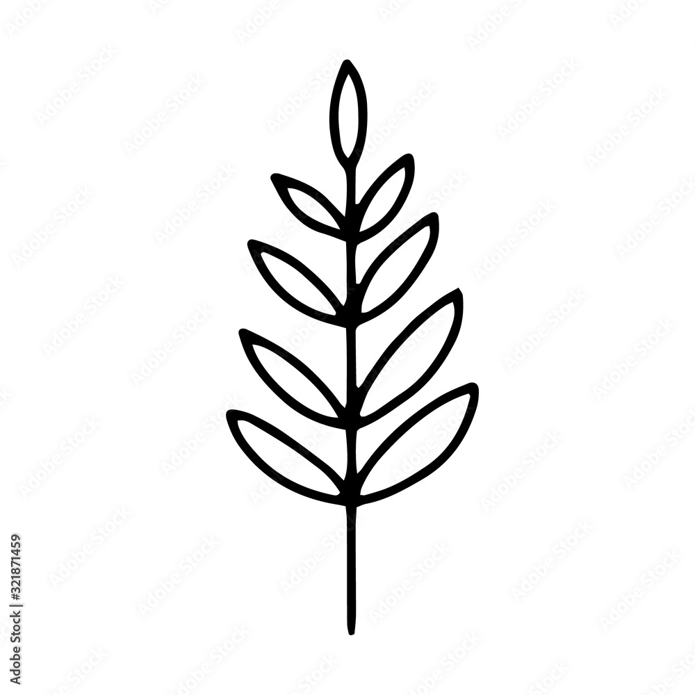 Branch with leaves drawing a line.Contour drawing made by hand.Floral design, for decoration, bouquets, decoration.Doodles.Black and white image.Isolated on a white background.Vector