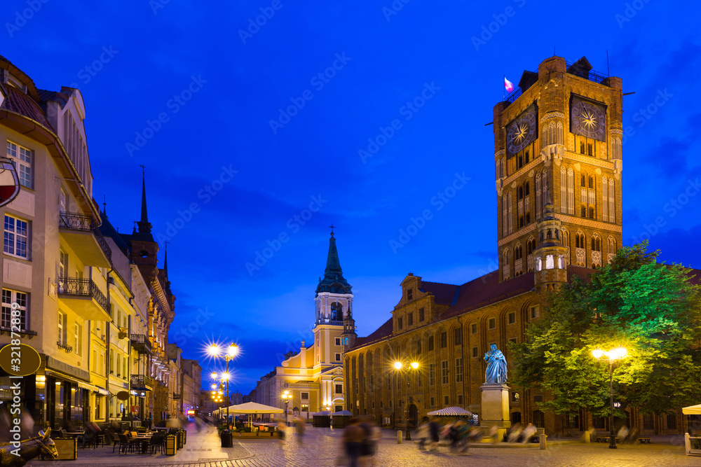 Obraz premium Torun Town Hall and statue of Copernicus