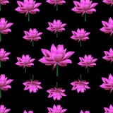 Endless vector pattern of blooming lotuses. Pink water Lily. Plants on a black background. Idea for Wallpaper, cover, textiles, decoration. Mysterious abstraction. Floral print.