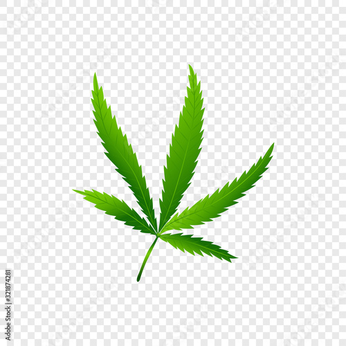 Isolated Cannabis or marijuana leaf