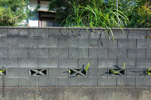 草がはみ出てきたブロック塀