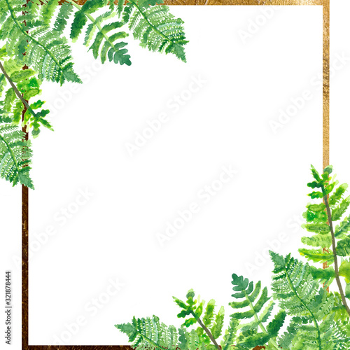Watercolor hand painted nature eco tropical squared frame composition with green fern leaves branches on the white background with golden border for invite and greeting card with the space for text