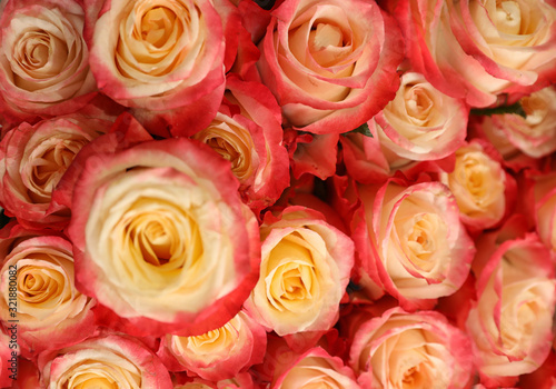 Beautiful bouquet of fresh roses, closeup. Floral decor