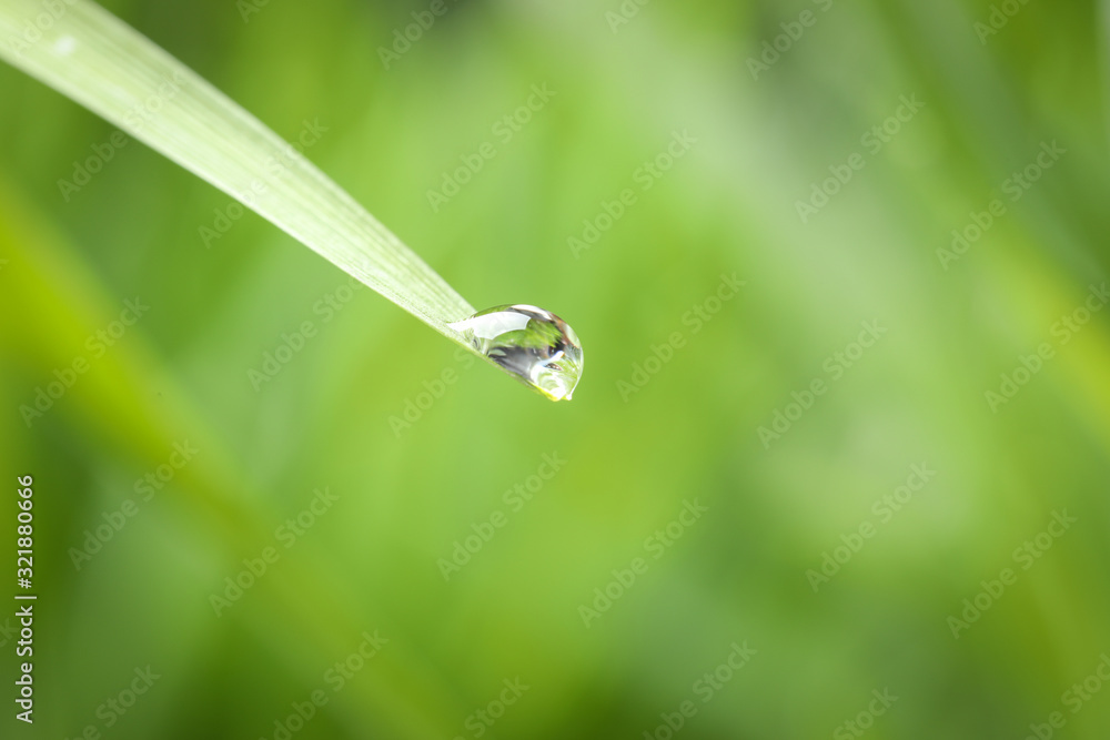 Water drop on grass blade against blurred background, closeup Water drop on grass blade against blurred background, closeup