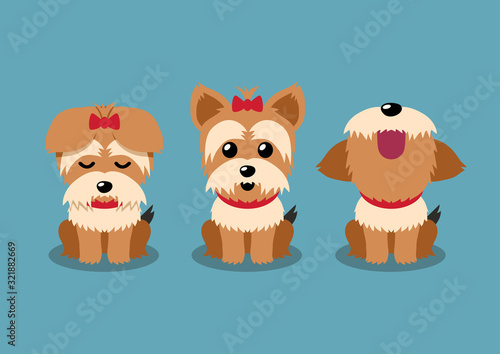Cartoon character yorkshire terrier dog poses set for design.
