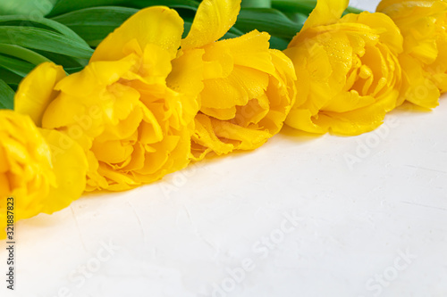 Bouquet of yellow tulips for the holidays. Women's Day, Valentine's Day, name day. On a white background.