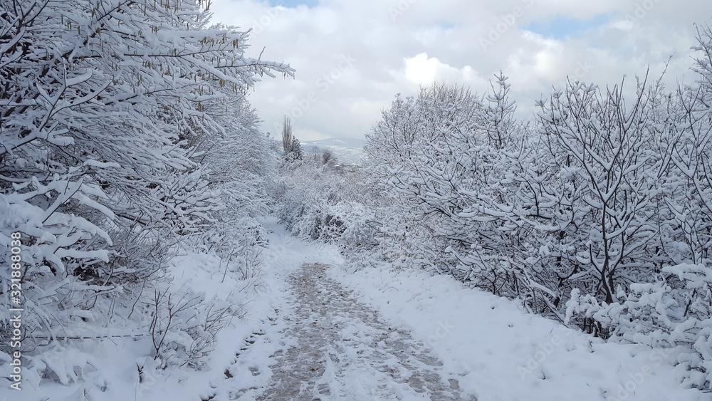 Obraz premium snowy path