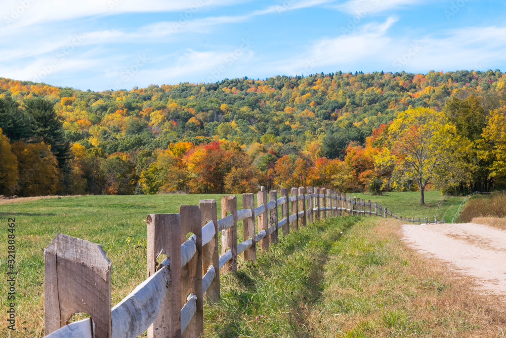 field in autumn