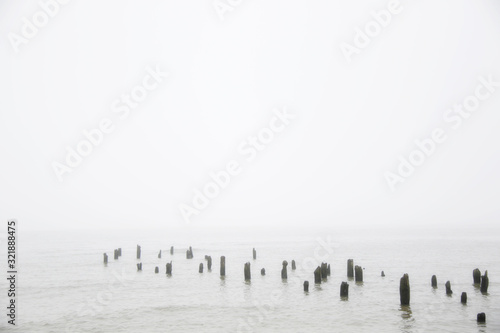 Foggy calm Baltic sea cost