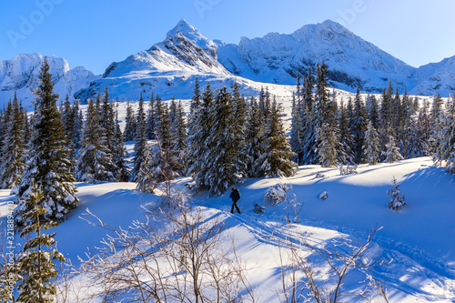 Unidentified backpacker on walking trail in Gasienicowa valley during winter time, Tatra Mountains, Poland