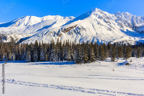 Fresh snow and beautiful winter landscape of Gasienicowa valley, Tatra Mountains, Poland
