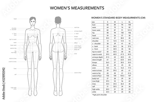 Womens measurements fashion terminology Illustration for lady size chart.
