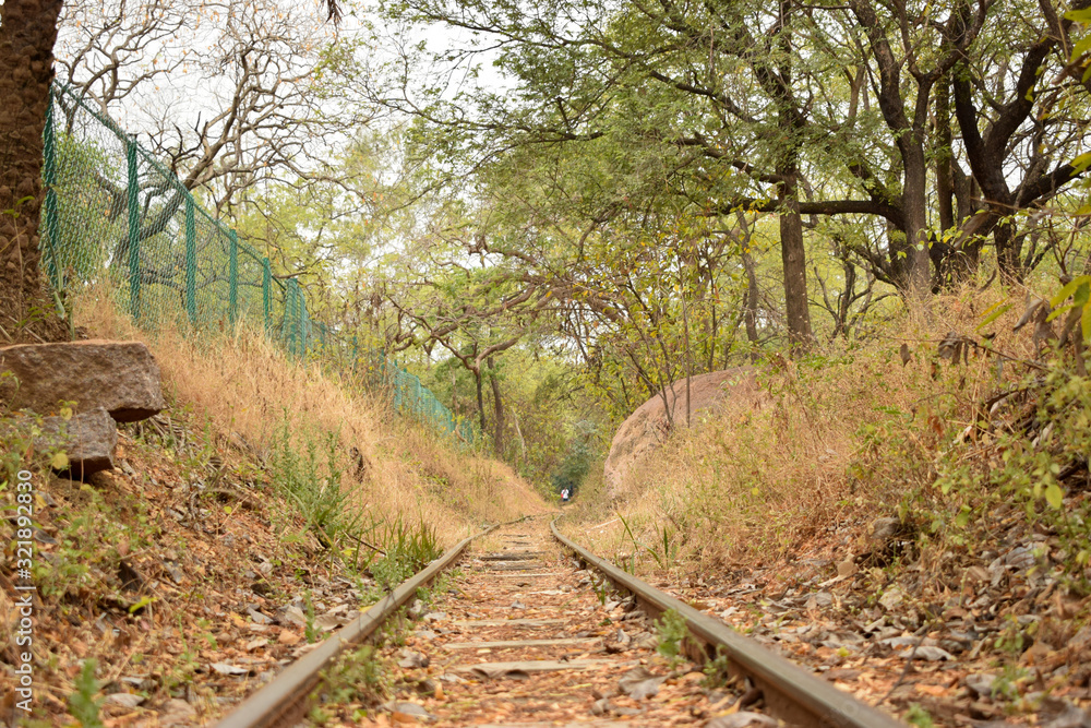 Fototapeta premium vintage train track in autumn forest